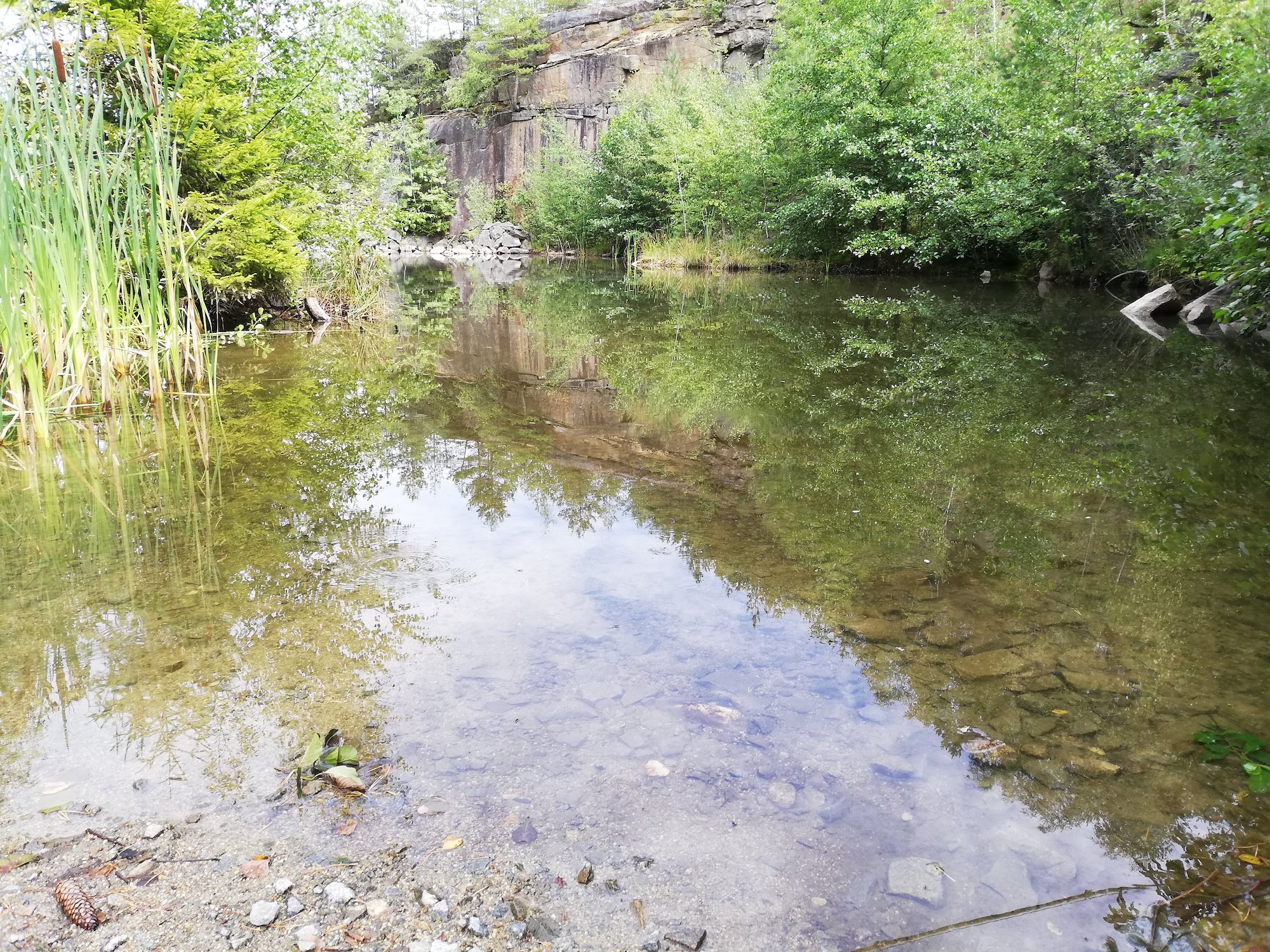 Waldviertel Wasser und Stein
